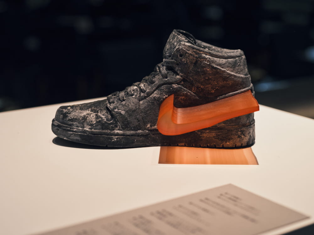 2024.09.12 未来からの化石