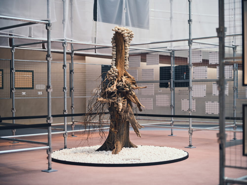 2024.09.12 多様性の花束