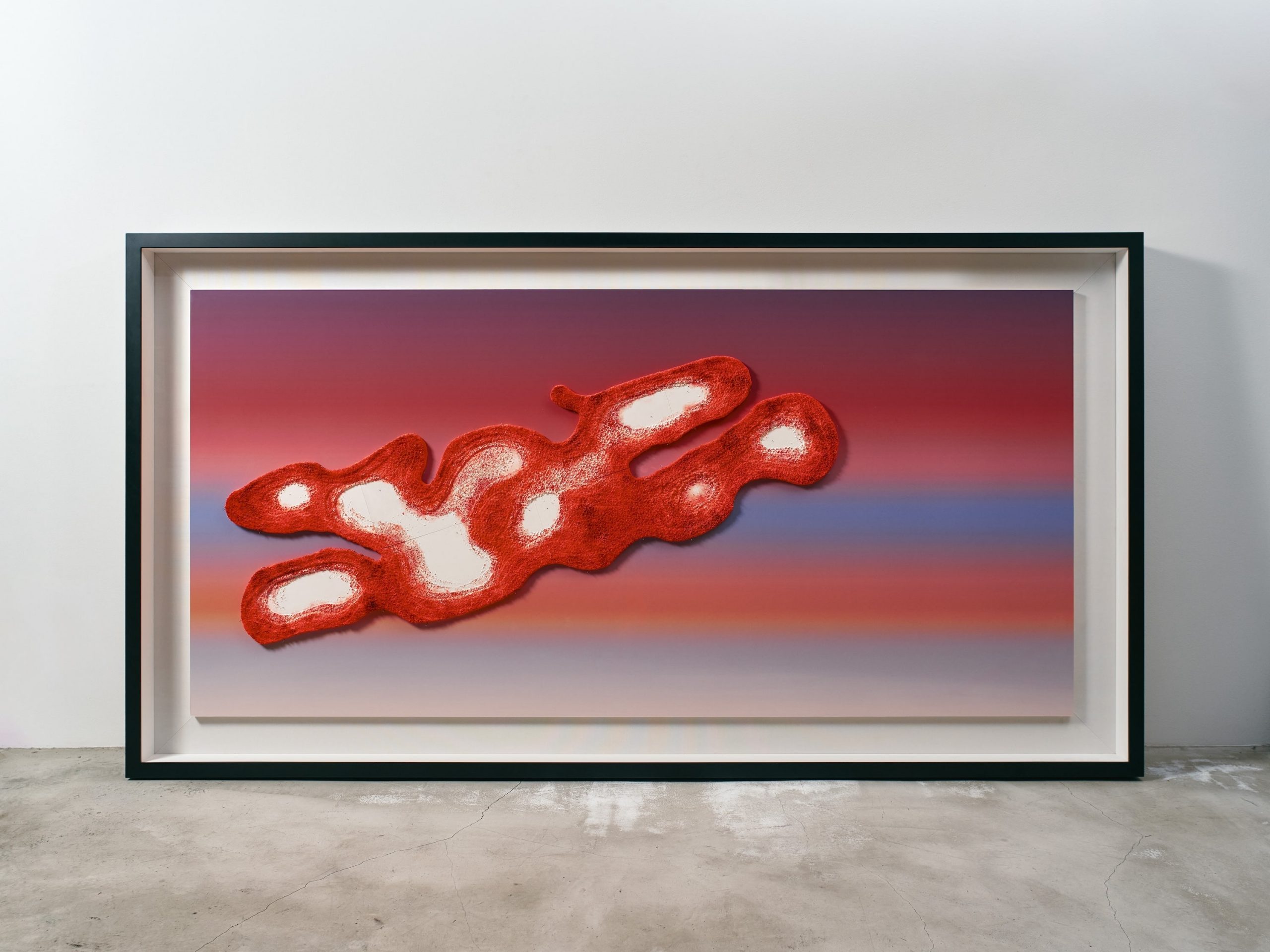 こぼれ落ちたものの標本