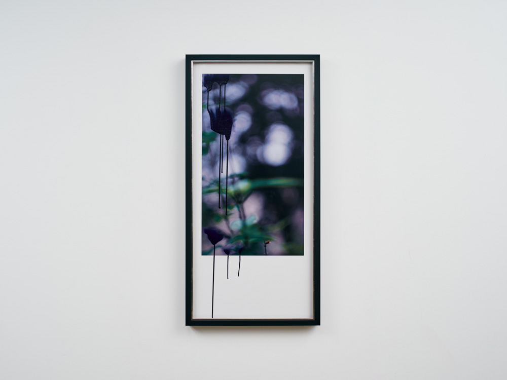 イメージの逡巡