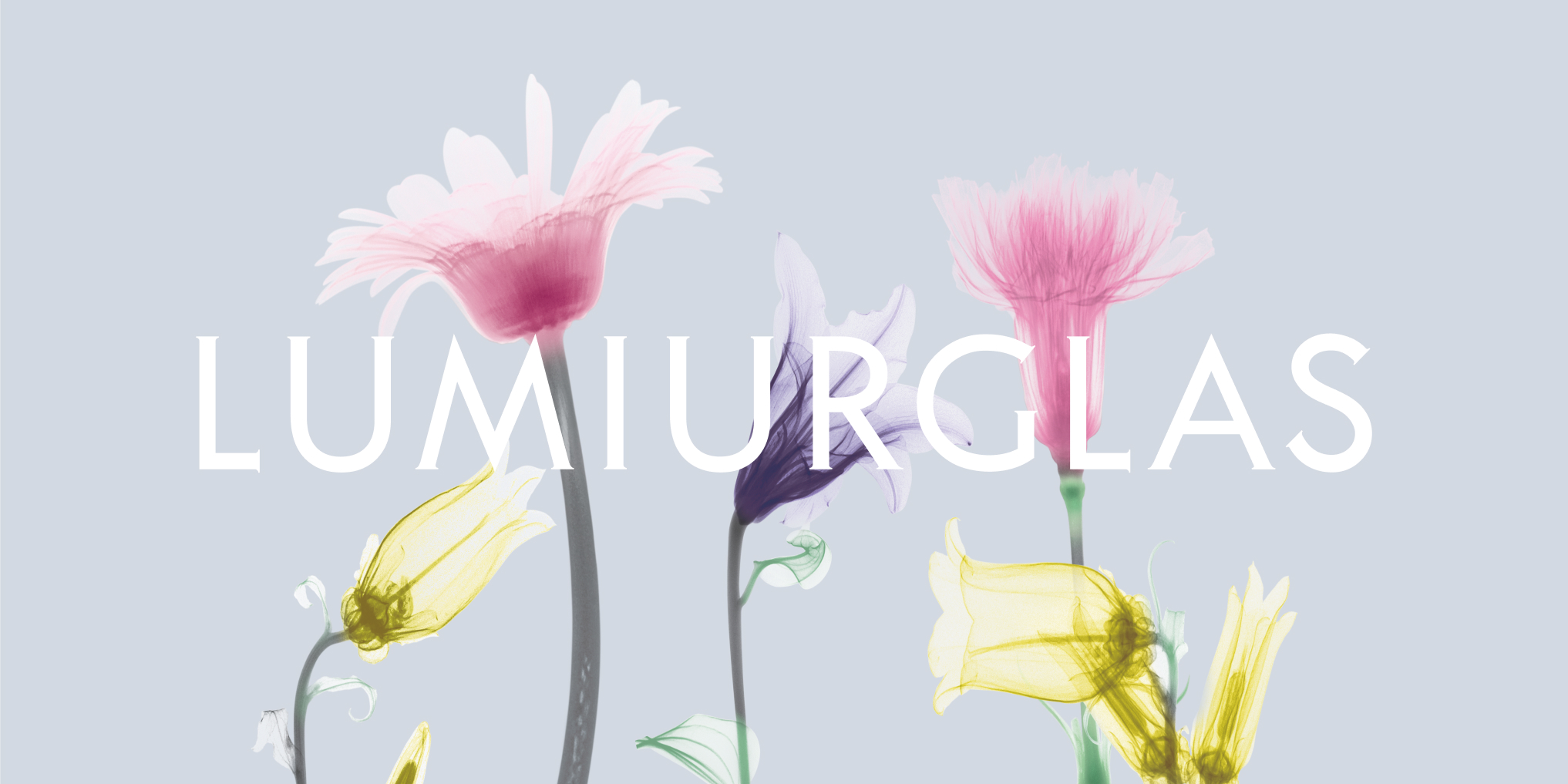 「Skill-less Liner」開発ブランディング