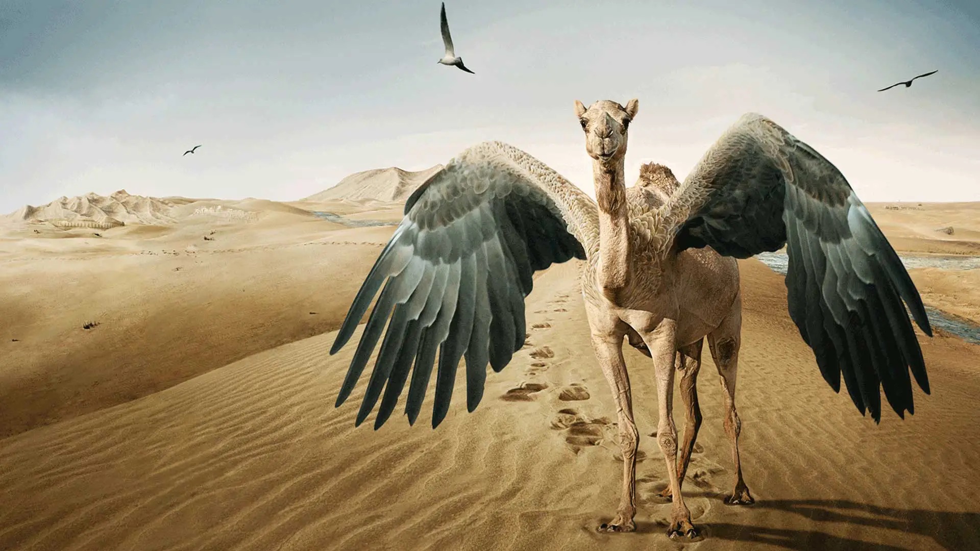 IMAGINATURE【空想動物図鑑】