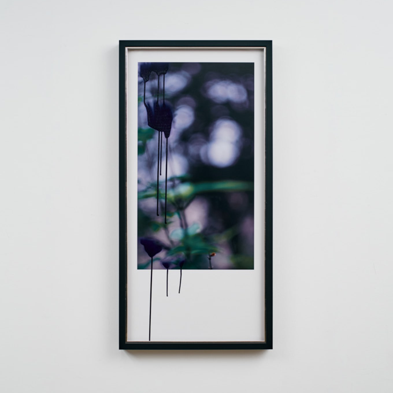 イメージの逡巡