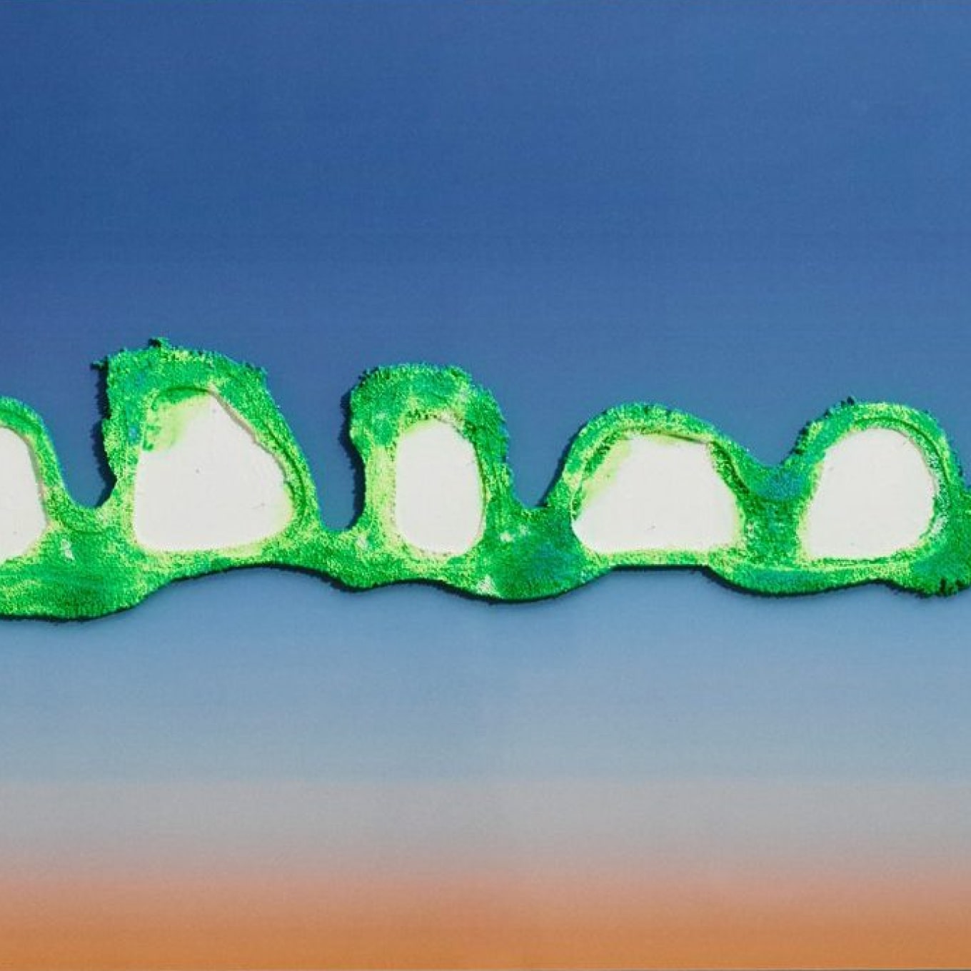 こぼれ落ちたものの標本