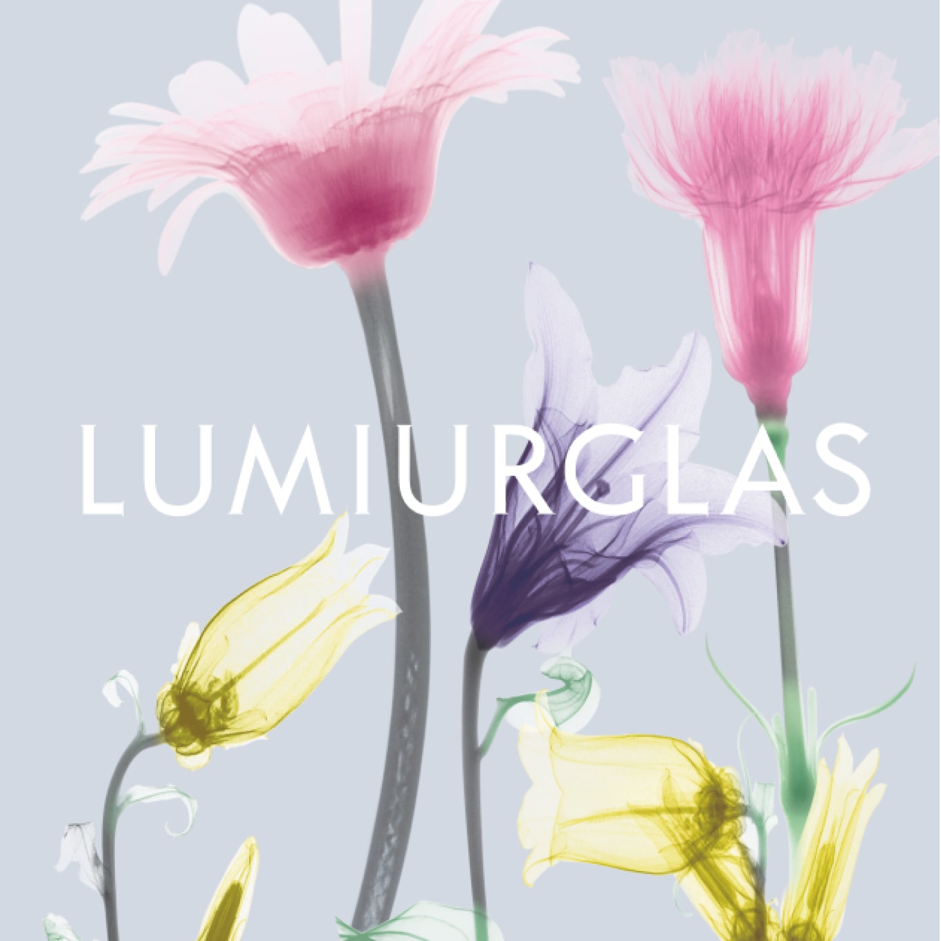 「Skill-less Liner」開発ブランディング